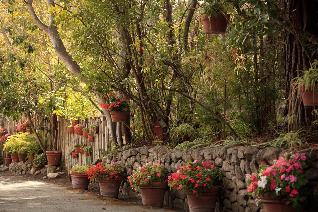 Old Monterey Inn ภายนอก รูปภาพ