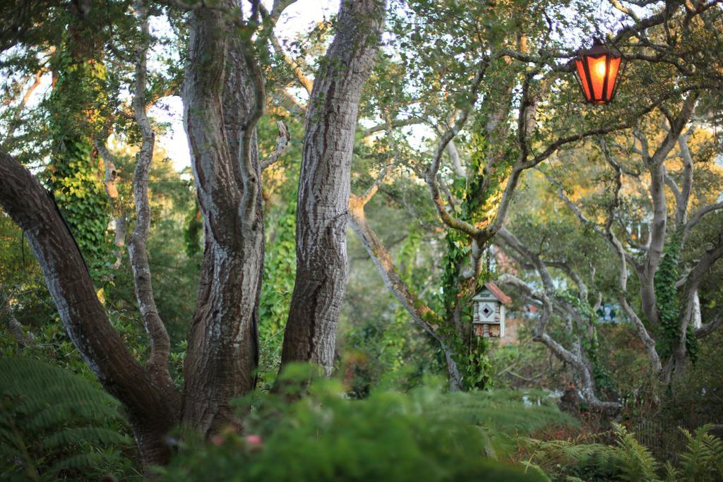Old Monterey Inn ภายนอก รูปภาพ